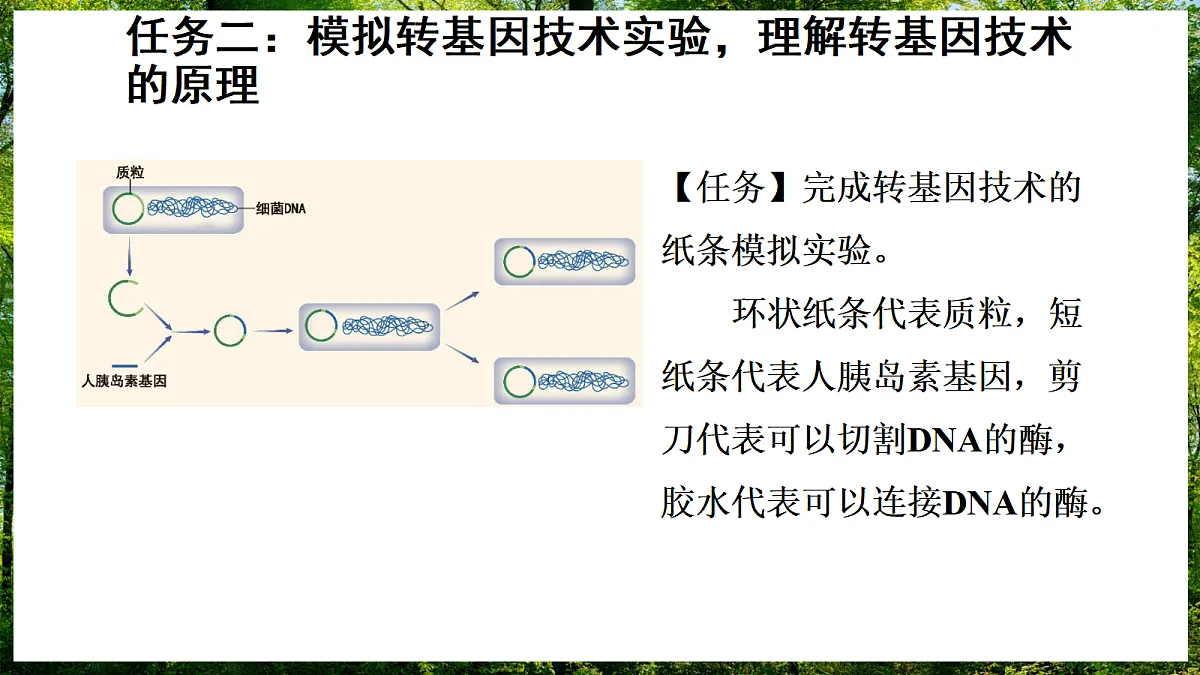 17307147第5页