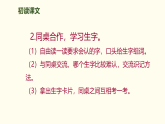 5  铺满金色巴掌的水泥道  课件 统编版语文三年级上册