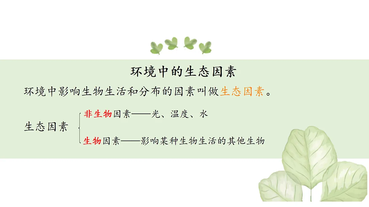 17307661第4页