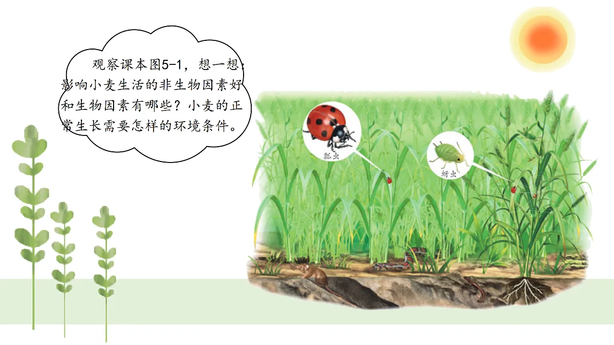 17307661第5页