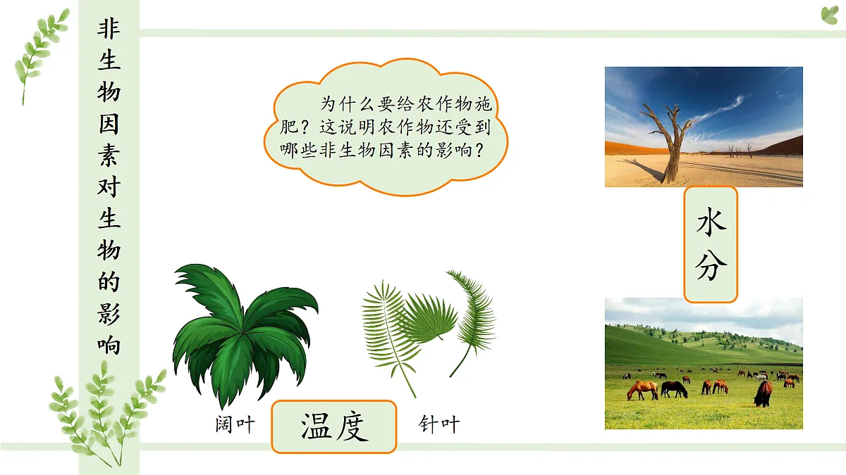 17307661第6页