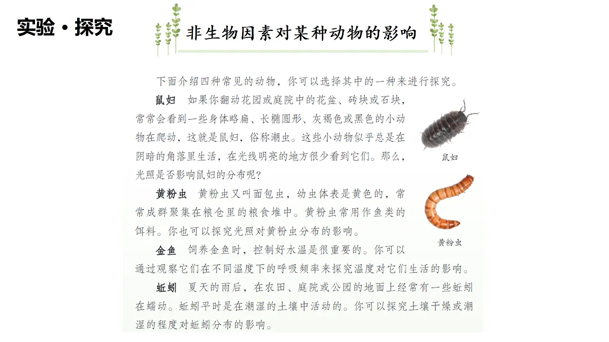 17307661第7页