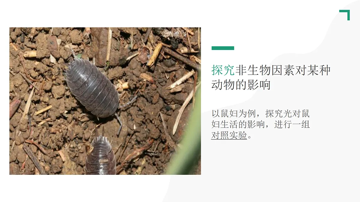 17307661第8页