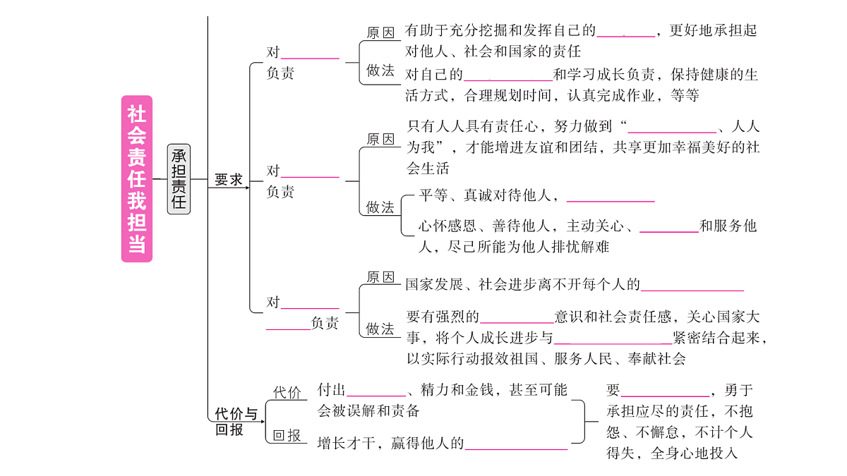 17307708第3页