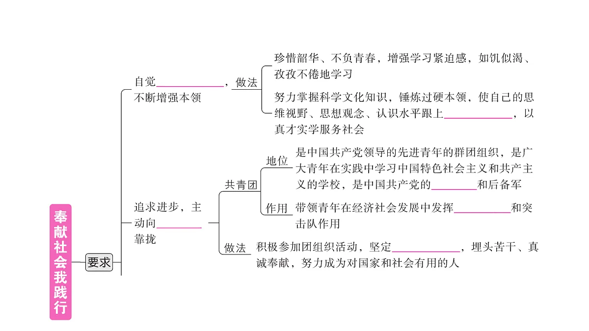 17307709第3页