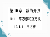 2025年华东师大版初中数学八年级上册10.1  平方根和立方根（1）习题课课件（含答案）