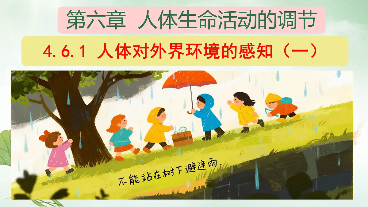 17307888第1页