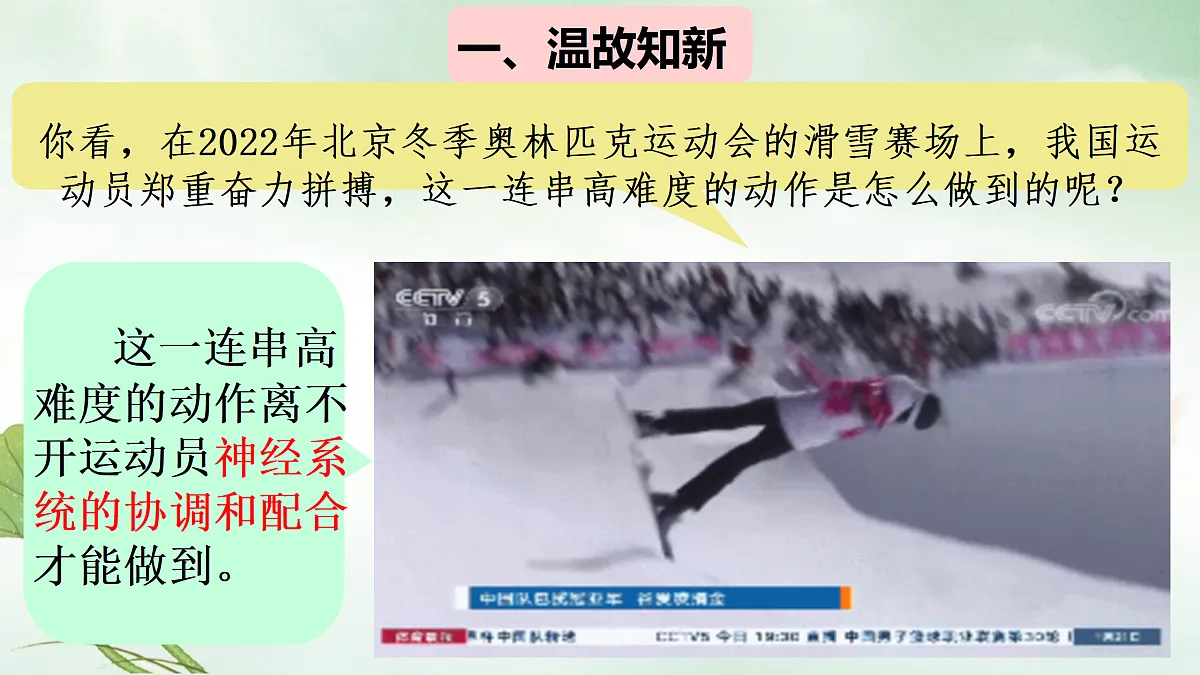 17307888第2页