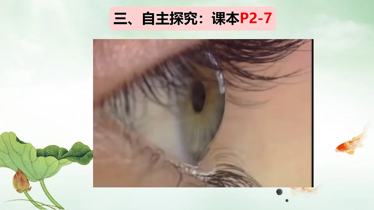 17307888第4页