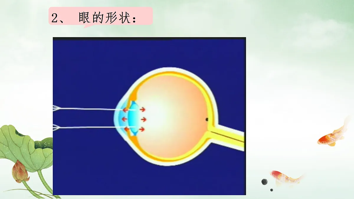 17307888第7页