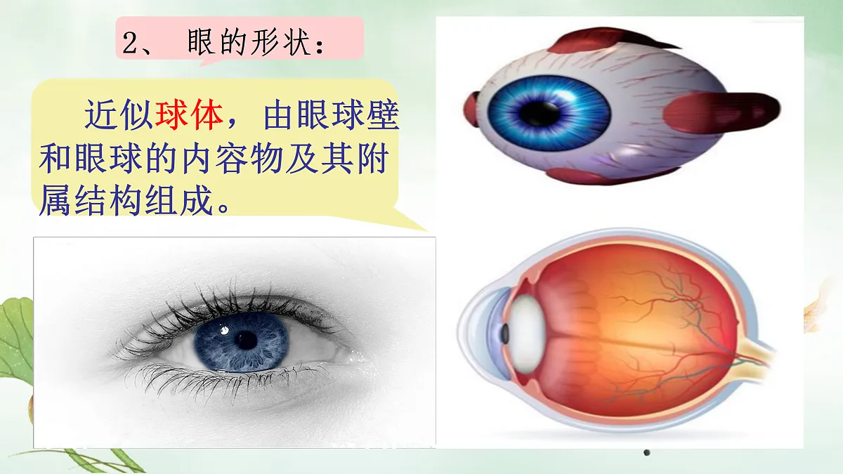 17307888第8页