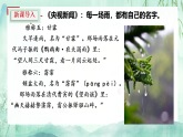 统编版七年级语文上册3_ 雨的四季 课件