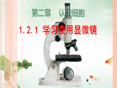 1.2.1 学习使用显微镜 课件 课件2025-2026学年人教版生物七年级上册