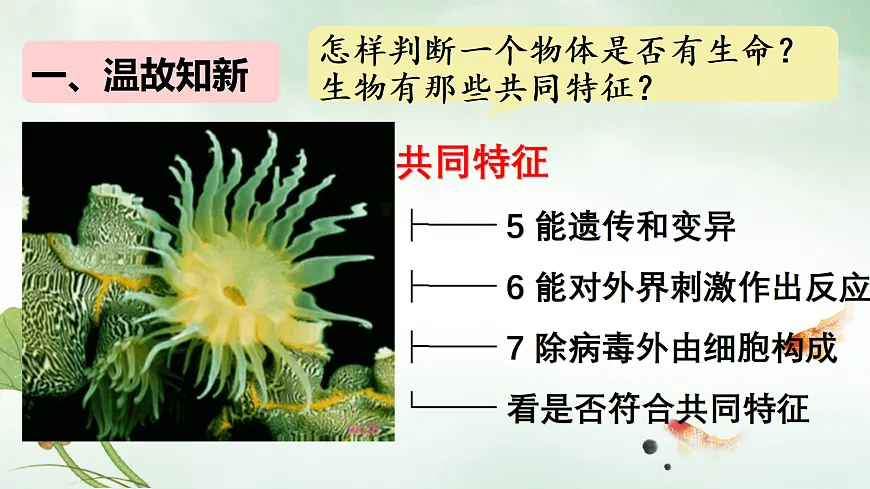 17308384第2页