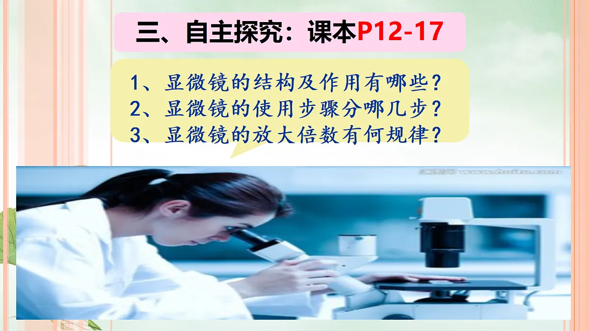 17308384第4页