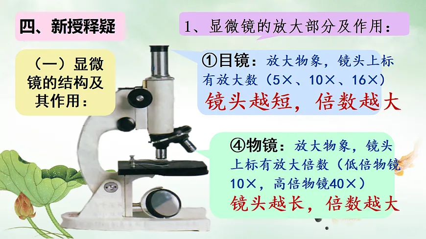 17308384第5页