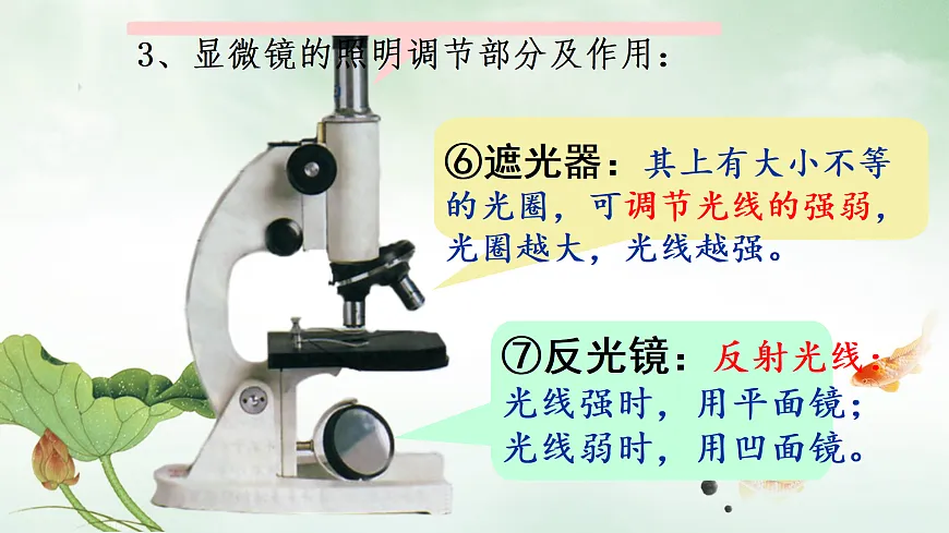 17308384第7页