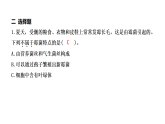 1.3 发霉的馒头（习题课件）2025-2026学年大象版（2017）科学六年级上册