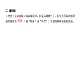1.4 不一样的“感冒”（习题课件）2025-2026学年大象版（2017）科学六年级上册