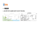 2.4 自然界中的水循环（习题课件）2025-2026学年大象版（2017）科学六年级上册