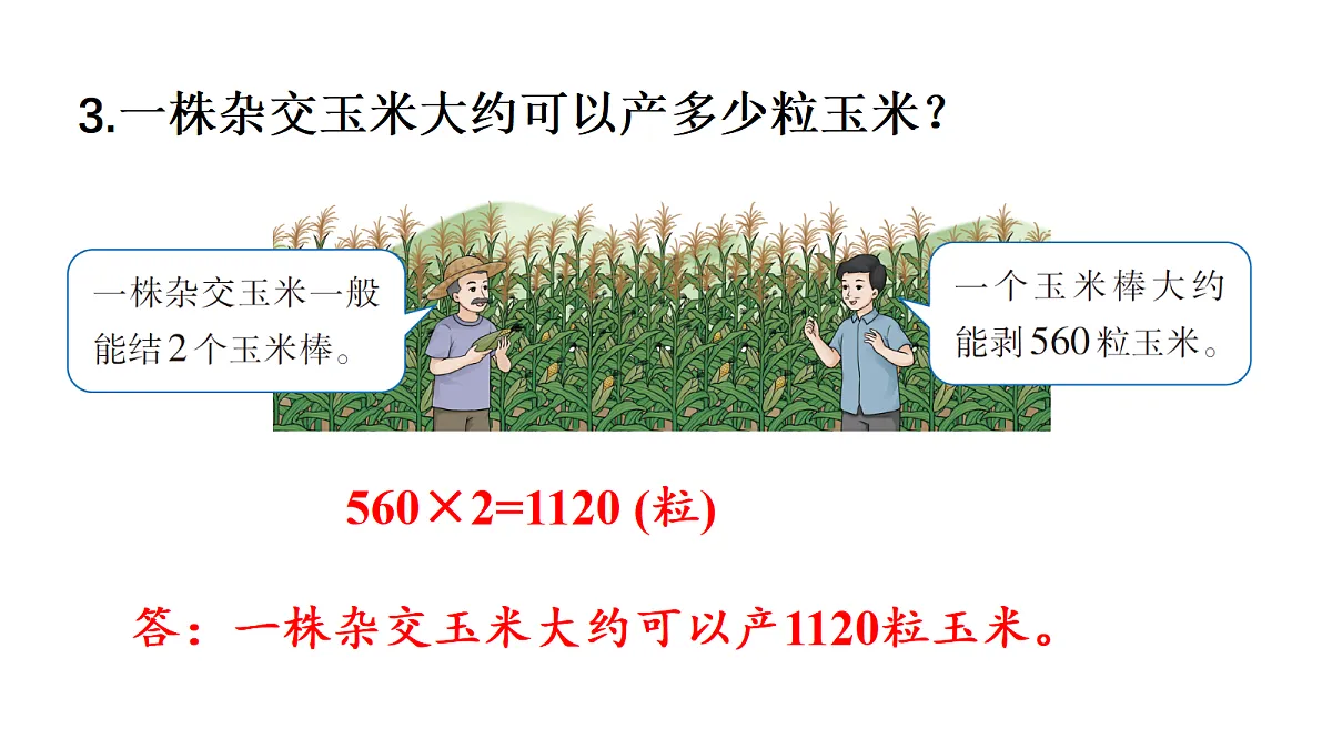 17309137第4页