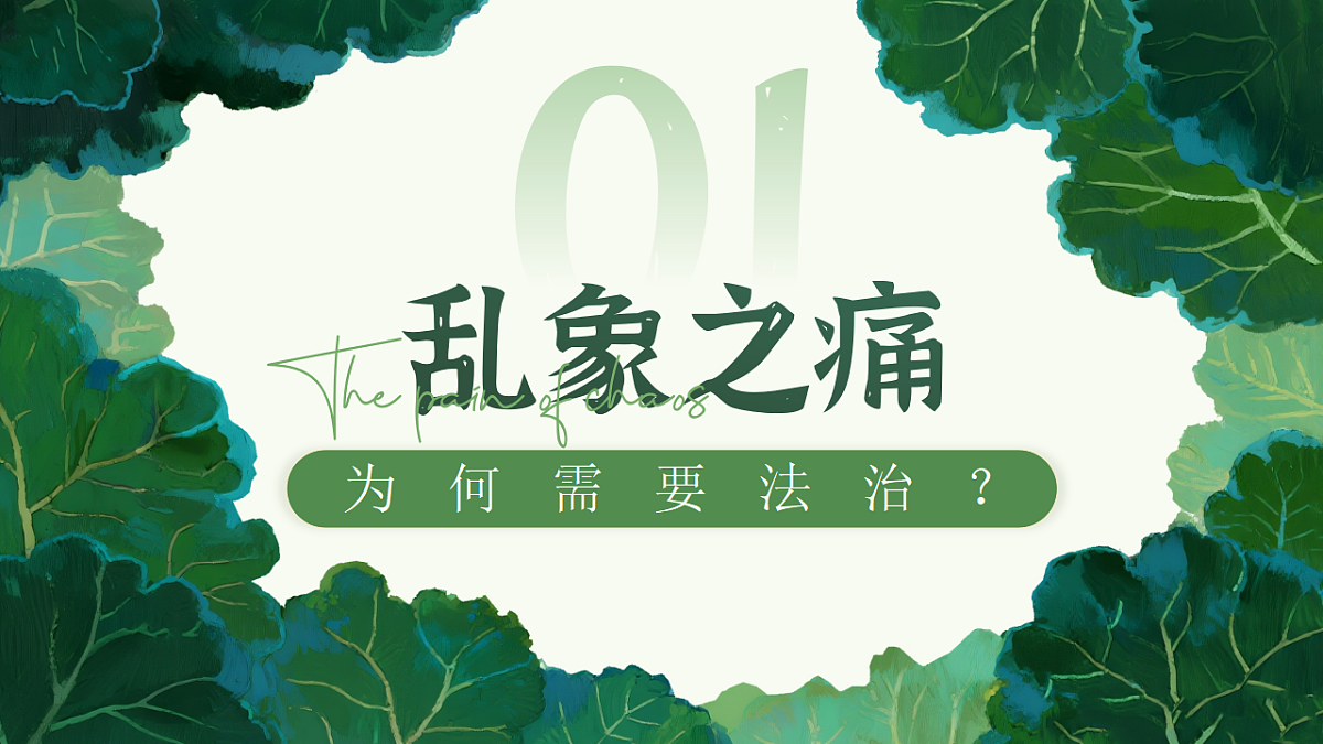 17309338第5页