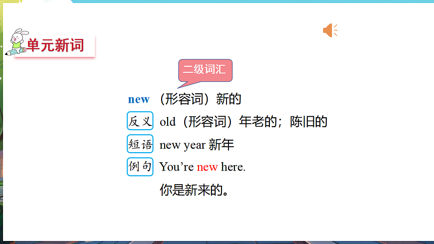 17309582第5页