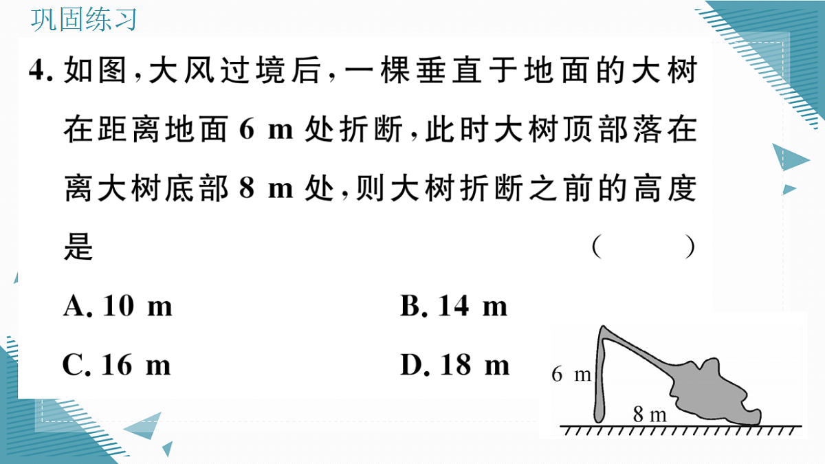 17309705第5页