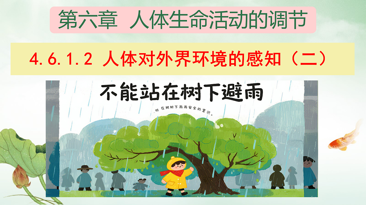 17310089第1页