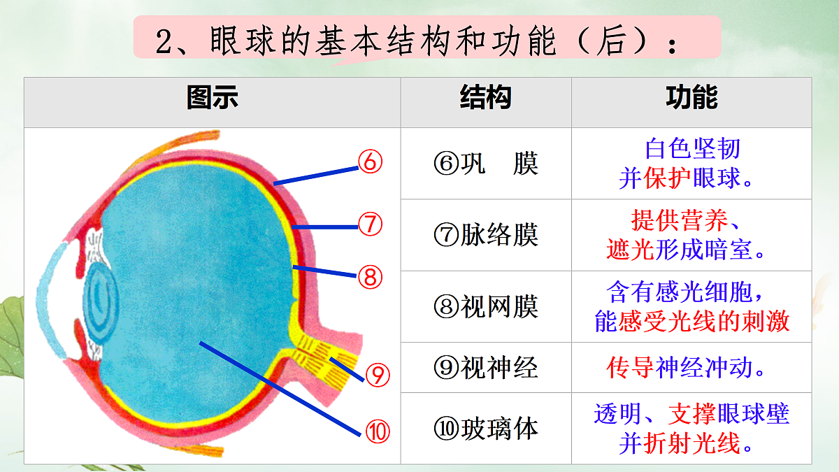 17310089第3页