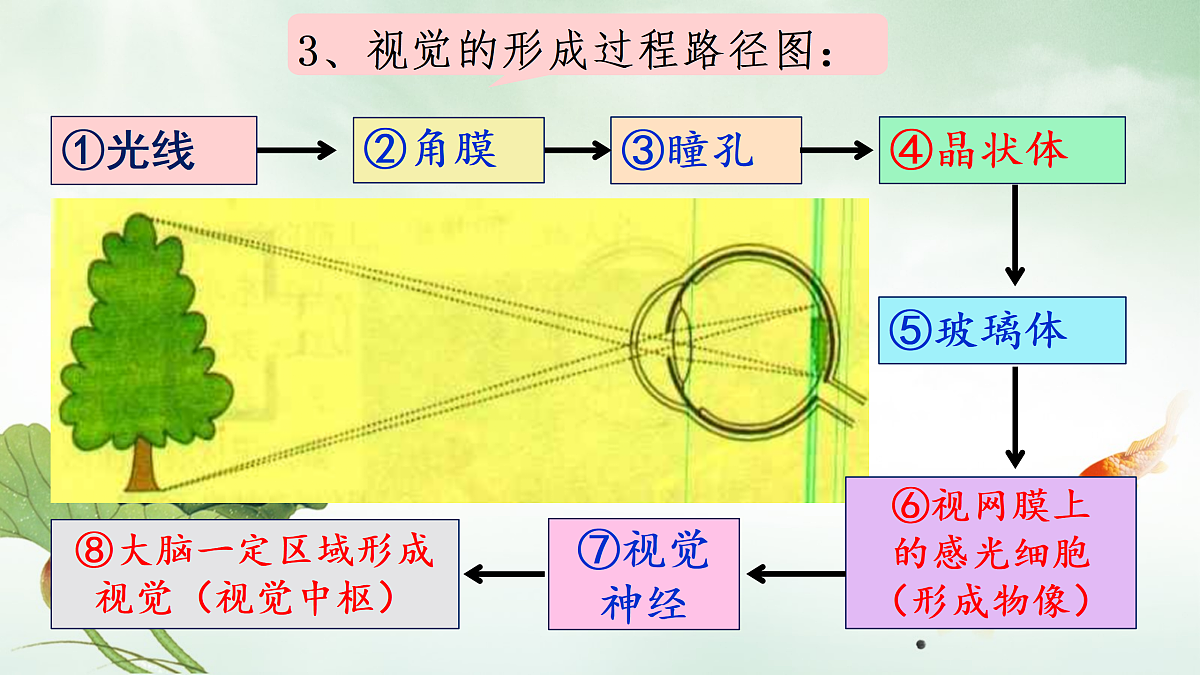17310089第4页