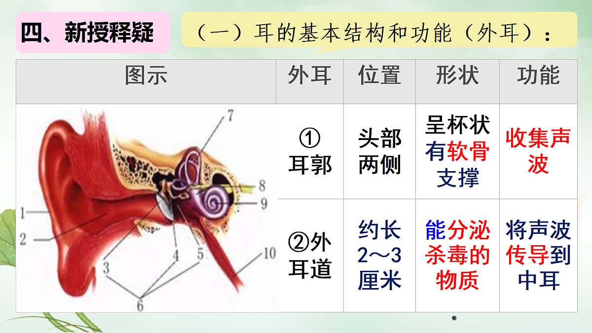 17310089第7页