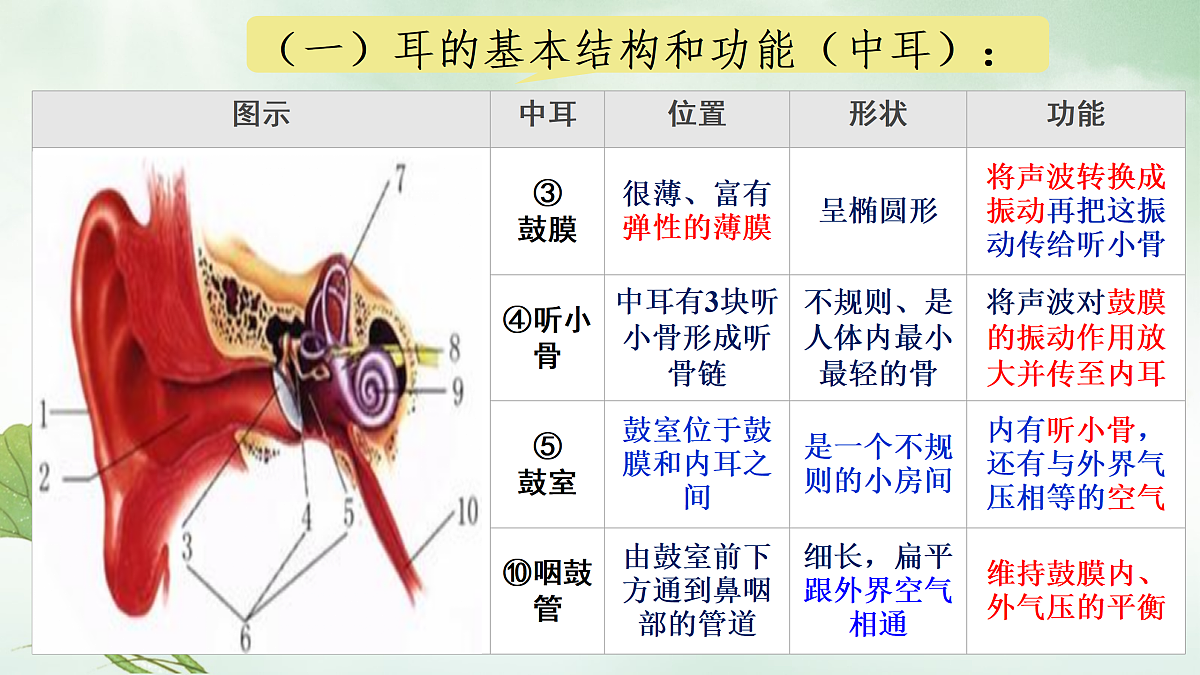 17310089第8页