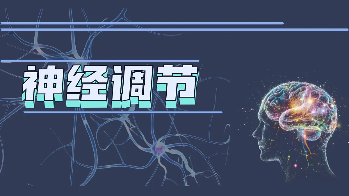 17310365第2页