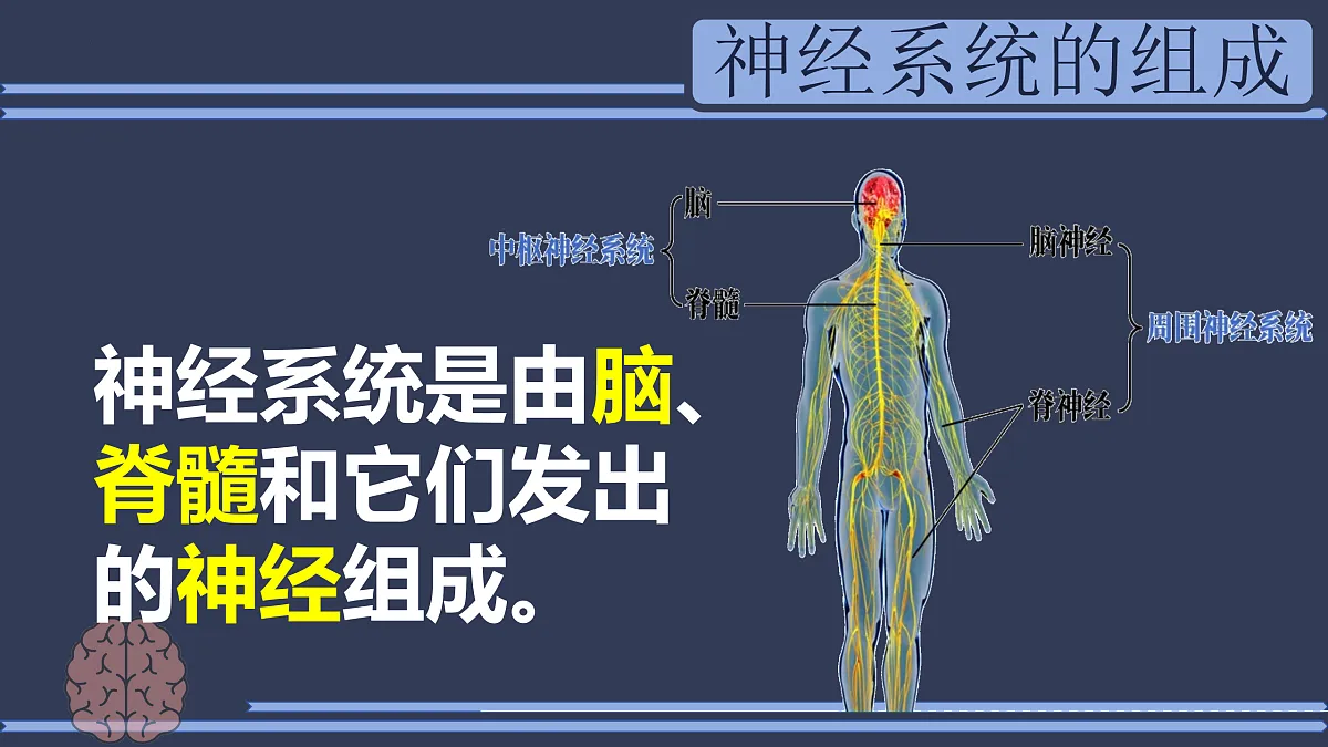 17310365第5页