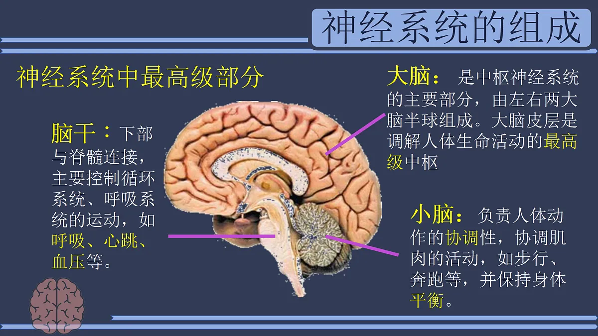 17310365第6页
