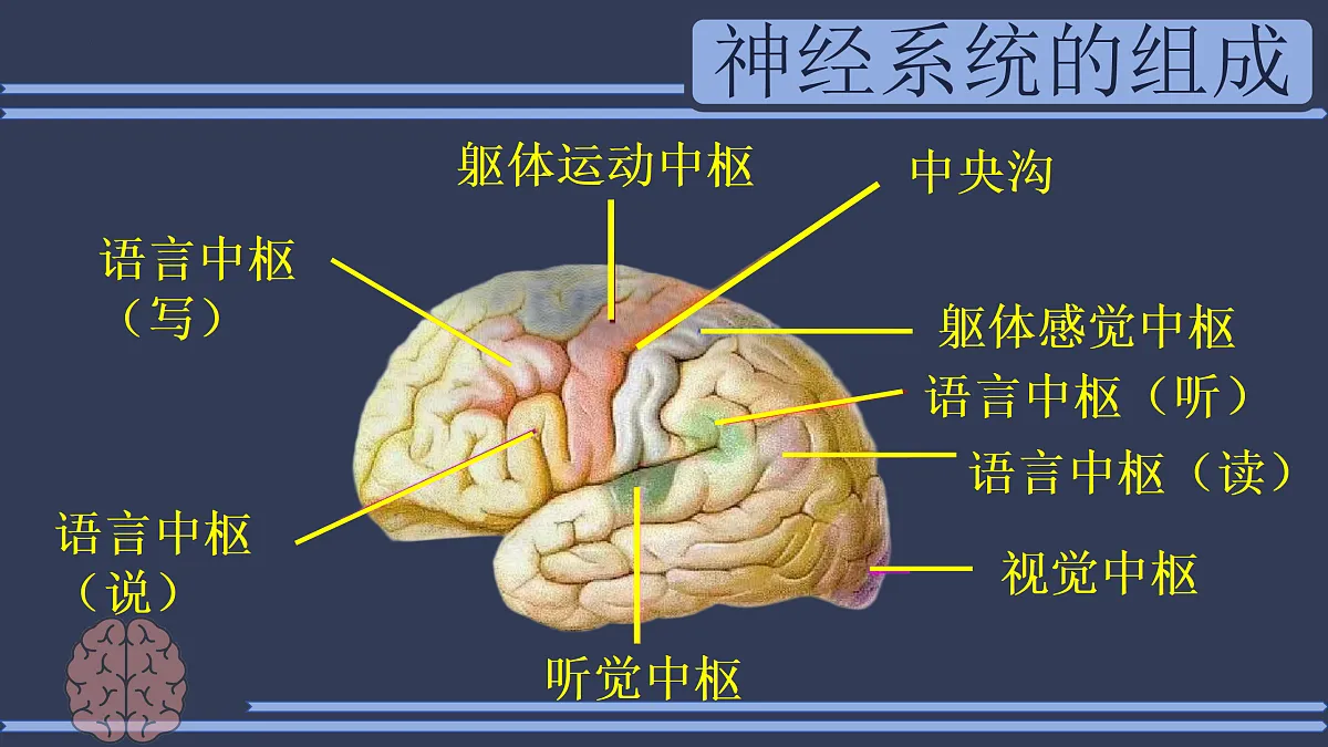 17310365第7页