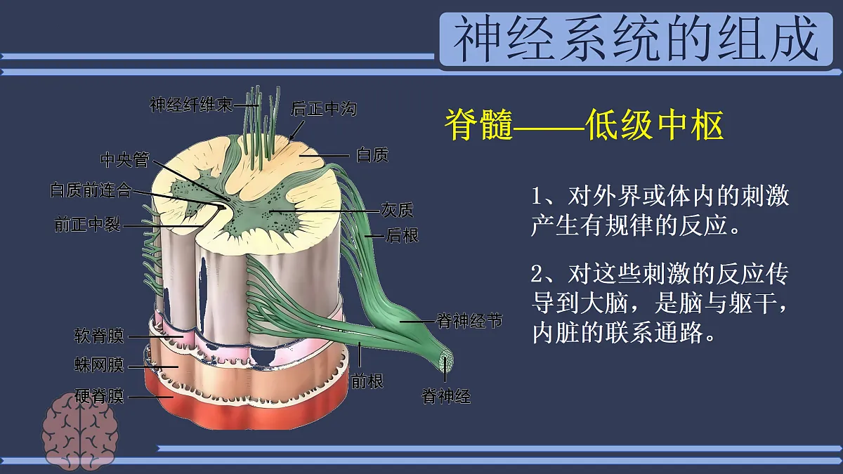 17310365第8页