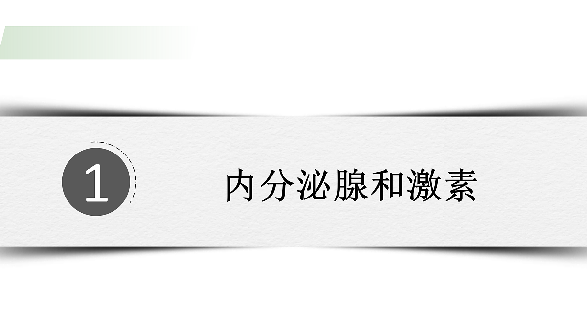 17310366第4页