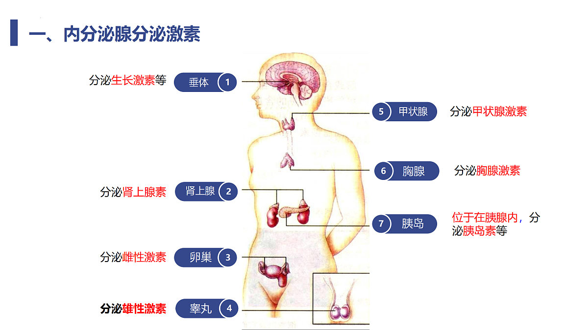 17310366第7页
