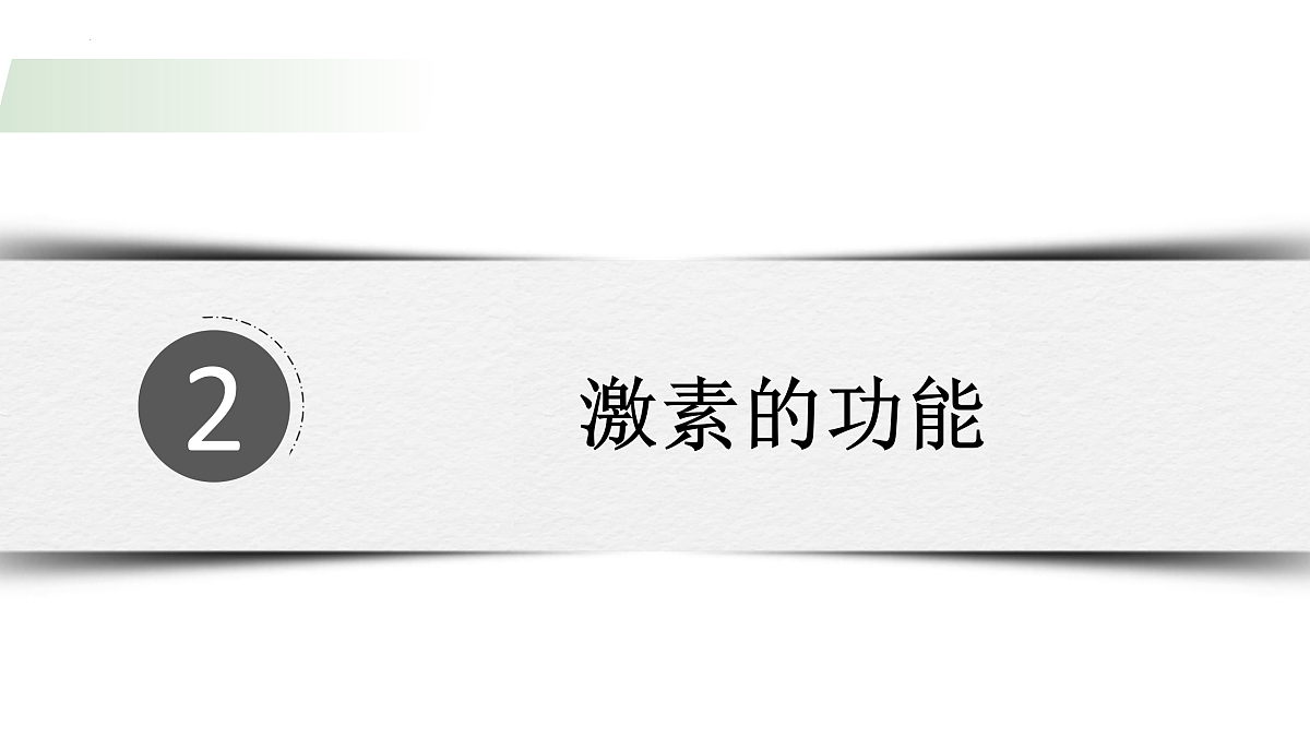 17310366第8页