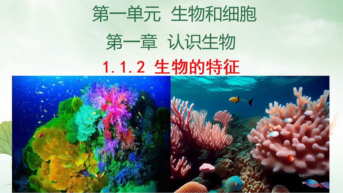 17310368第1页