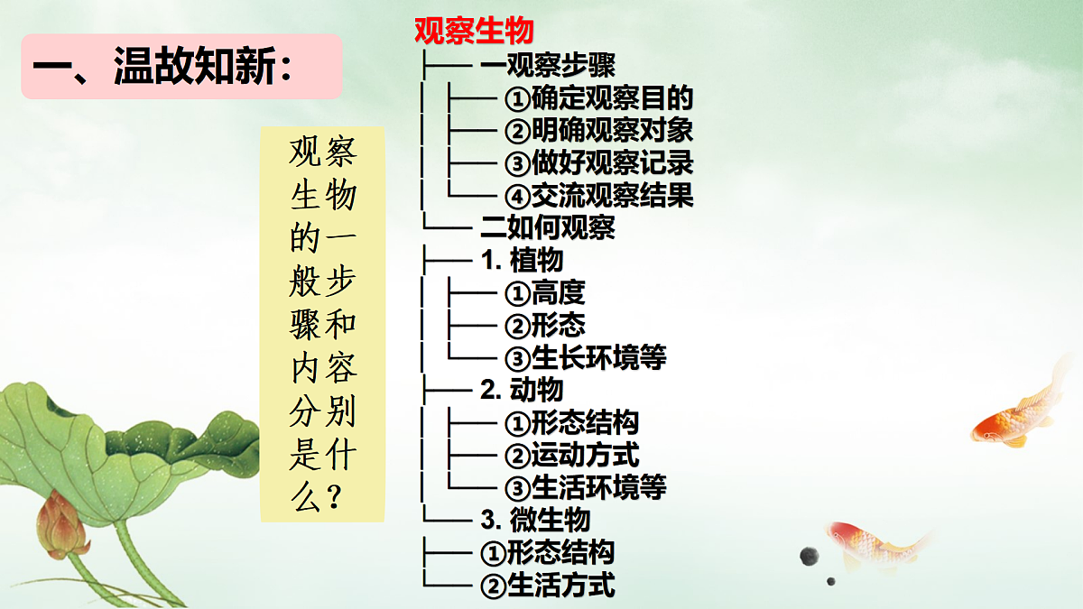 17310368第2页