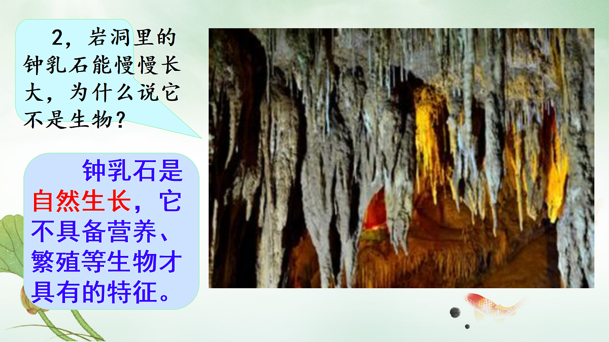 17310368第8页