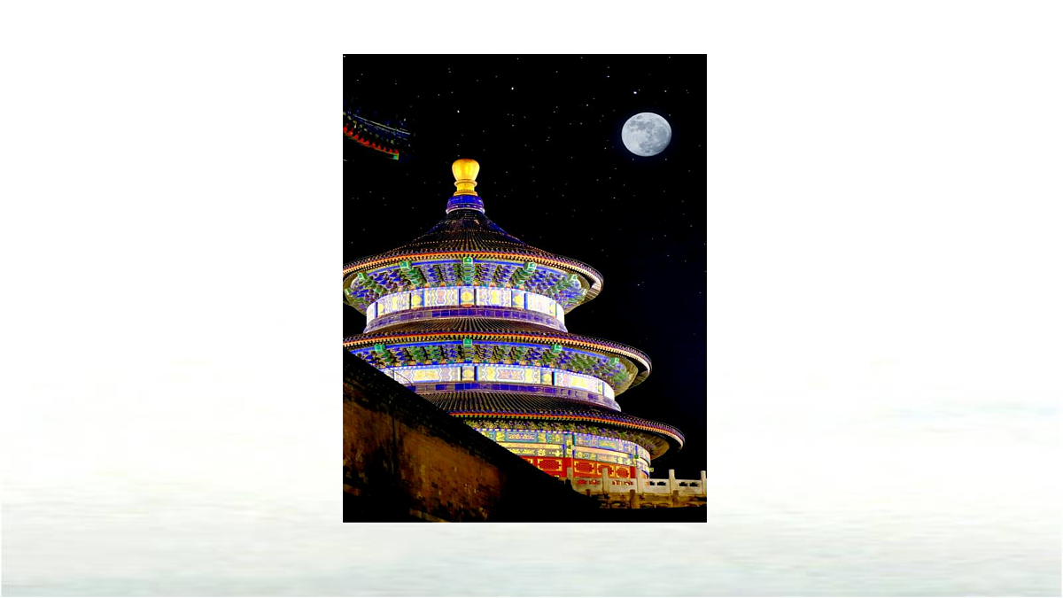 17310378第3页