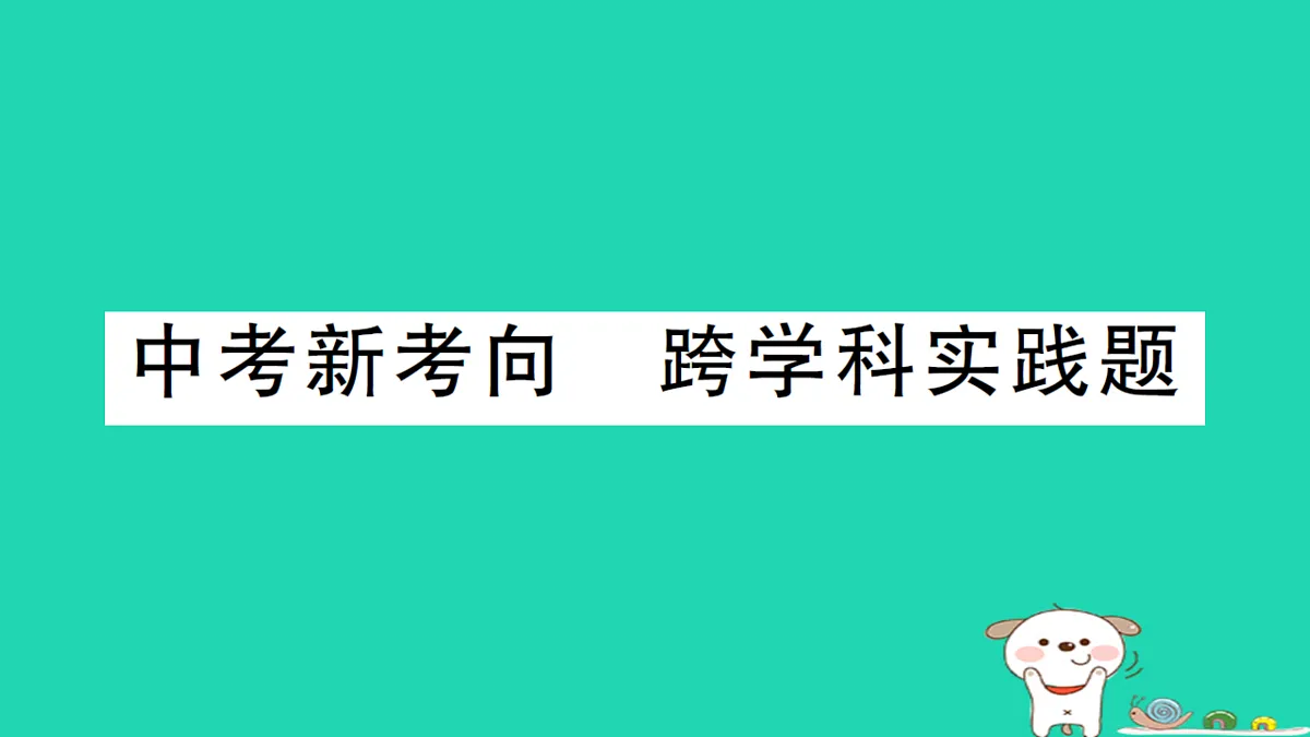 17310656第1页