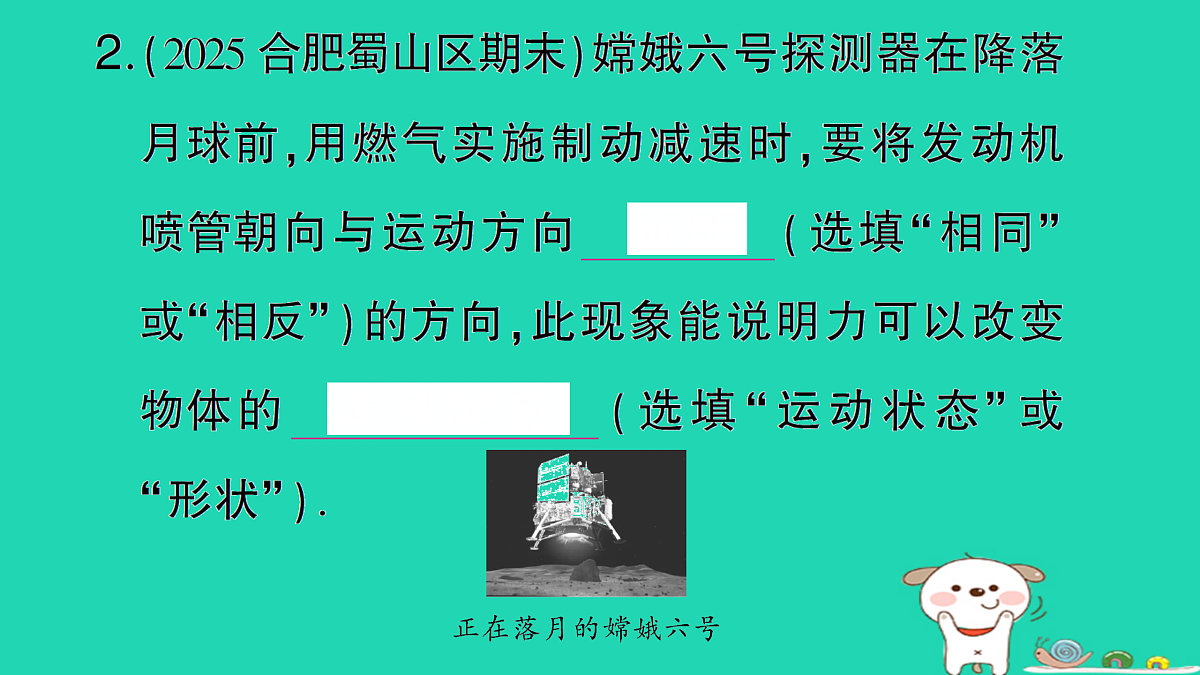 17310666第3页