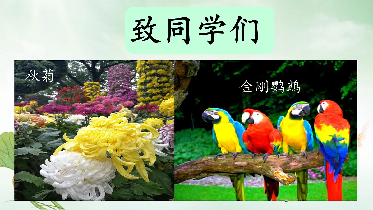 17310829第1页