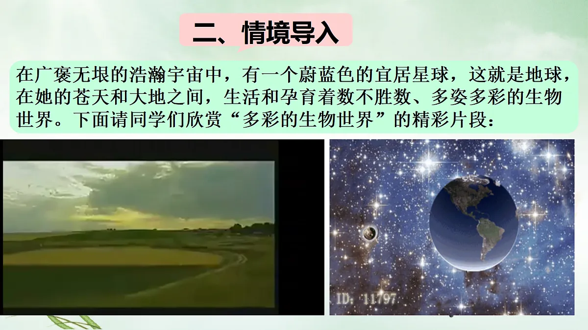 17310829第4页