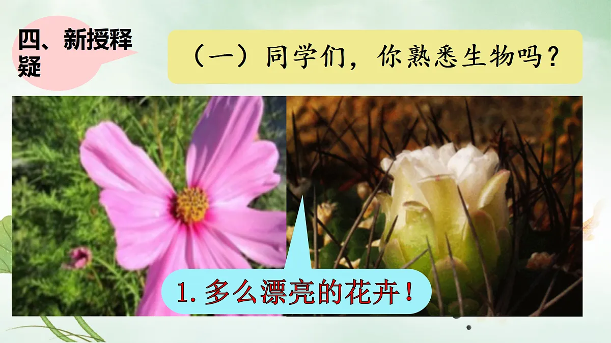 17310829第6页